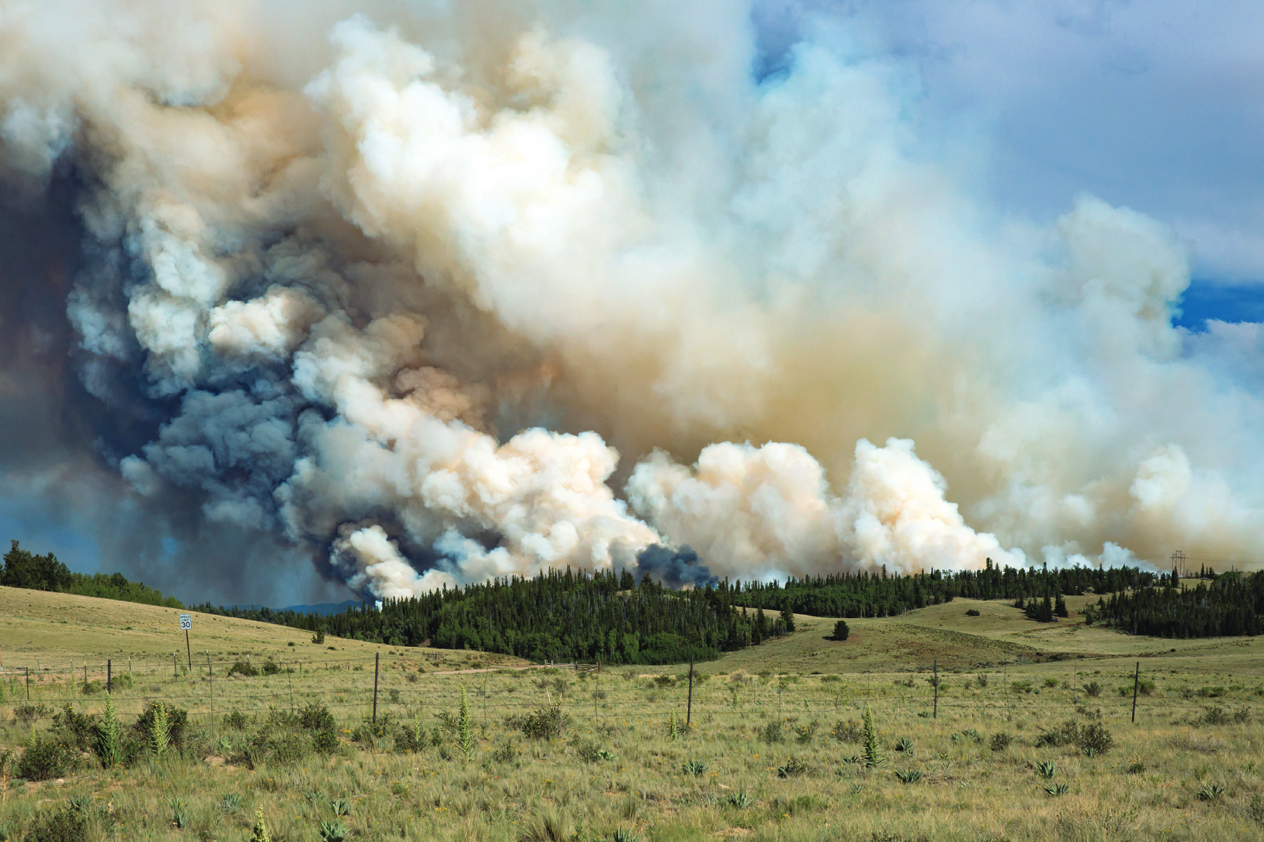 Prepare Land and Livestock for Wildfire Season